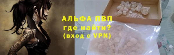 стаф Арсеньев