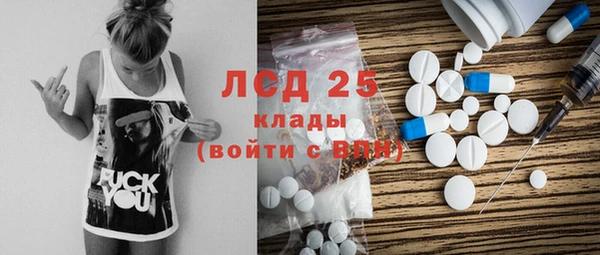 ПСИЛОЦИБИНОВЫЕ ГРИБЫ Аркадак