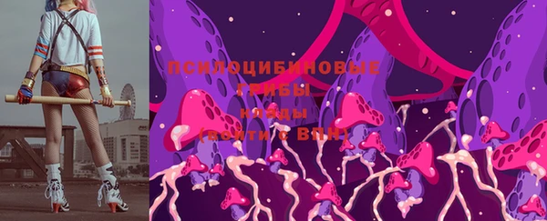 стаф Арсеньев