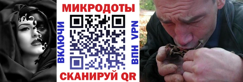 даркнет сайт  Весьегонск  Псилоцибиновые грибы ЛСД 
