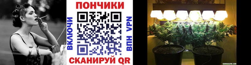 Конопля сатива  купить наркоту  Весьегонск 
